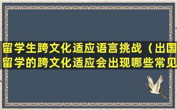 留学生跨文化适应语言挑战（出国留学的跨文化适应会出现哪些常见的“不适症”）