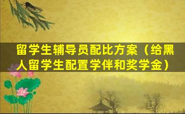 留学生辅导员配比方案（给黑人留学生配置学伴和奖学金）