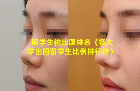 留学生输出国排名（各大学出国留学生比例排行榜）