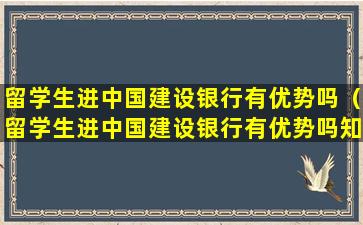留学生进中国建设银行有优势吗（留学生进中国建设银行有优势吗知乎）