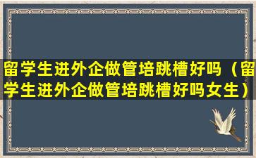 留学生进外企做管培跳槽好吗（留学生进外企做管培跳槽好吗女生）