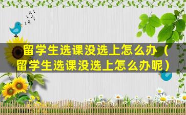 留学生选课没选上怎么办（留学生选课没选上怎么办呢）