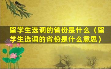 留学生选调的省份是什么（留学生选调的省份是什么意思）