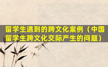 留学生遇到的跨文化案例（中国留学生跨文化交际产生的问题）