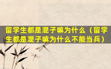 留学生都是混子嘛为什么（留学生都是混子嘛为什么不能当兵）