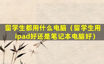 留学生都用什么电脑（留学生用ipad好还是笔记本电脑好）