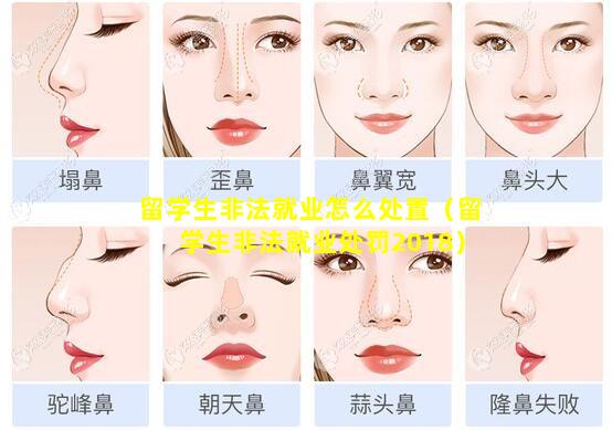 留学生非法就业怎么处置（留学生非法就业处罚2018）