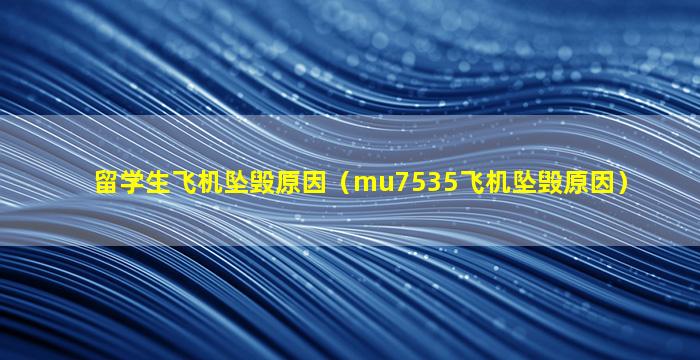 留学生飞机坠毁原因（mu7535飞机坠毁原因）