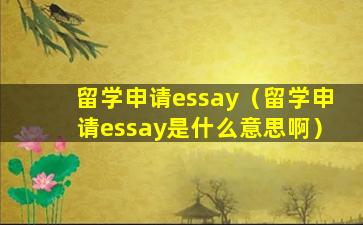 留学申请essay（留学申请essay是什么意思啊）