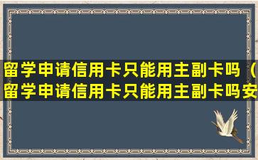 留学申请信用卡只能用主副卡吗（留学申请信用卡只能用主副卡吗安全吗）