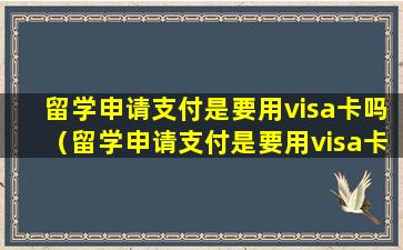 留学申请支付是要用visa卡吗（留学申请支付是要用visa卡吗还是卡片）