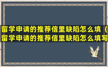 留学申请的推荐信里缺陷怎么填（留学申请的推荐信里缺陷怎么填写）