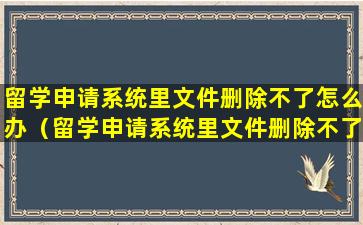 留学申请系统里文件删除不了怎么办（留学申请系统里文件删除不了怎么办呀）
