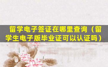 留学电子签证在哪里查询（留学生电子版毕业证可以认证吗）