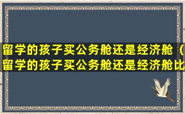 留学的孩子买公务舱还是经济舱（留学的孩子买公务舱还是经济舱比较好）