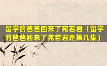 留学的爸爸回来了宛若君（留学的爸爸回来了宛若君是第几集）