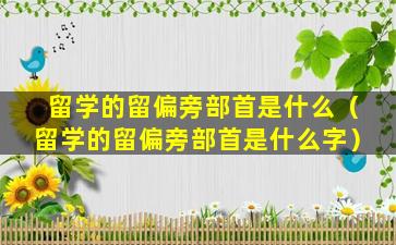 留学的留偏旁部首是什么（留学的留偏旁部首是什么字）