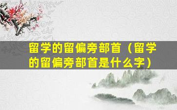 留学的留偏旁部首（留学的留偏旁部首是什么字）