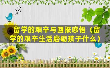 留学的艰辛与回报感悟（留学的艰辛生活磨砺孩子什么）