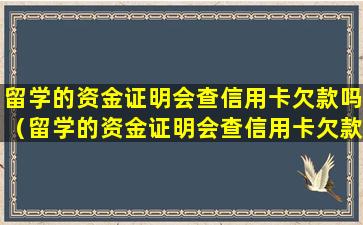 留学的资金证明会查信用卡欠款吗（留学的资金证明会查信用卡欠款吗怎么查）