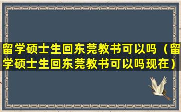 留学硕士生回东莞教书可以吗（留学硕士生回东莞教书可以吗现在）