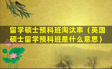 留学硕士预科班淘汰率（英国硕士留学预科班是什么意思）