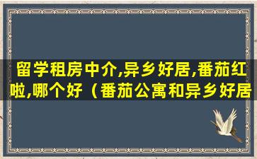 留学租房中介,异乡好居,番茄红啦,哪个好（番茄公寓和异乡好居）