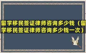 留学移民签证律师咨询多少钱（留学移民签证律师咨询多少钱一次）