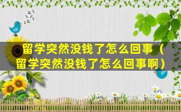 留学突然没钱了怎么回事（留学突然没钱了怎么回事啊）