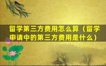 留学第三方费用怎么算（留学申请中的第三方费用是什么）