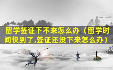 留学签证下不来怎么办（留学时间快到了,签证还没下来怎么办）