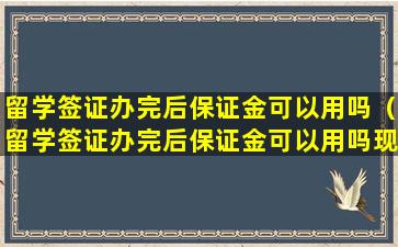 留学签证办完后保证金可以用吗（留学签证办完后保证金可以用吗现在）