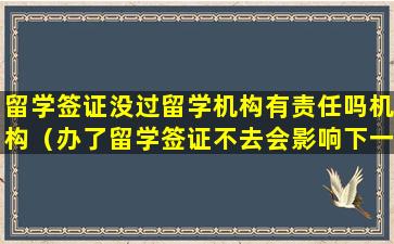 留学签证没过留学机构有责任吗机构（办了留学签证不去会影响下一次吗）