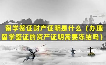 留学签证财产证明是什么（办理留学签证的资产证明需要冻结吗）