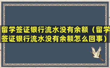留学签证银行流水没有余额（留学签证银行流水没有余额怎么回事）