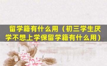 留学籍有什么用（初三学生厌学不想上学保留学籍有什么用）