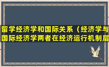 留学经济学和国际关系（经济学与国际经济学两者在经济运行机制层面的异同）