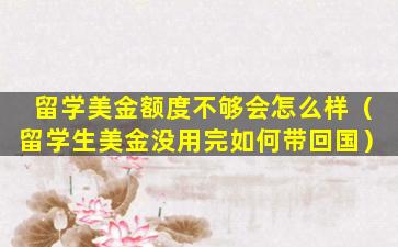留学美金额度不够会怎么样（留学生美金没用完如何带回国）
