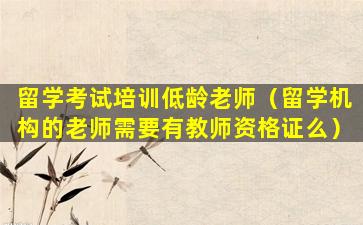留学考试培训低龄老师（留学机构的老师需要有教师资格证么）