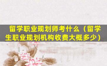 留学职业规划师考什么（留学生职业规划机构收费大概多少）