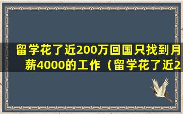 留学花了近200万回国只找到月薪4000的工作（留学花了近200万回国只找到月薪4000的工作可以吗）
