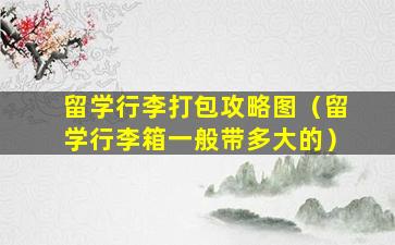 留学行李打包攻略图（留学行李箱一般带多大的）