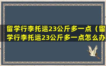 留学行李托运23公斤多一点（留学行李托运23公斤多一点怎么办）