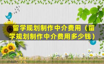 留学规划制作中介费用（留学规划制作中介费用多少钱）
