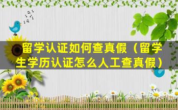 留学认证如何查真假（留学生学历认证怎么人工查真假）