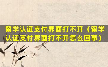 留学认证支付界面打不开（留学认证支付界面打不开怎么回事）