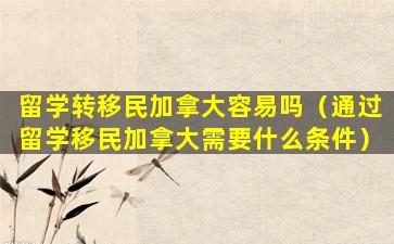 留学转移民加拿大容易吗（通过留学移民加拿大需要什么条件）