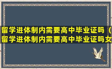 留学进体制内需要高中毕业证吗（留学进体制内需要高中毕业证吗女生）