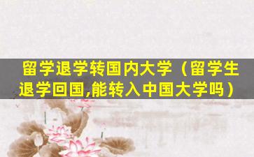 留学退学转国内大学（留学生退学回国,能转入中国大学吗）