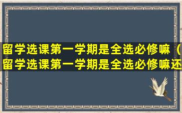留学选课第一学期是全选必修嘛（留学选课第一学期是全选必修嘛还是必选）